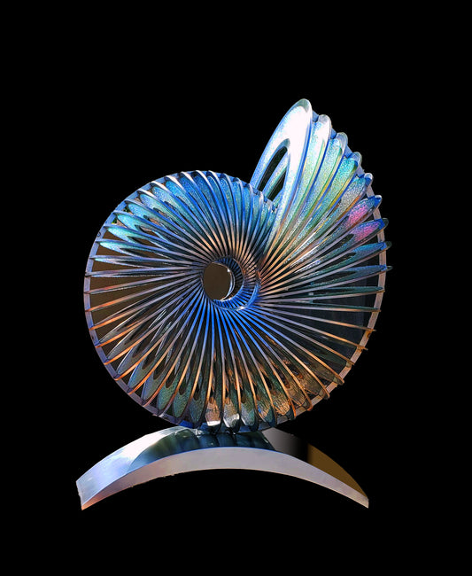 AMMONITE #9